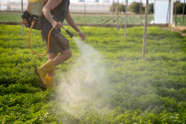 Best Best Pest Control Companies  in Tyrone, OK