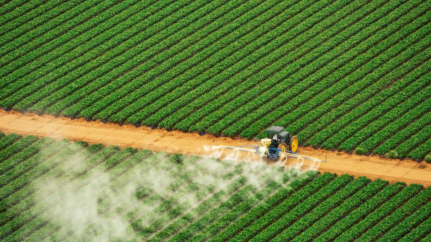 Reliable Tyrone, OK Pest Control Solutions