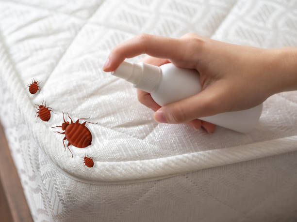 Best Affordable Pest Control Services  in Tyrone, OK