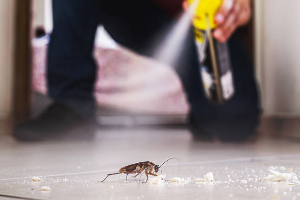 Best Wildlife Control Services  in Tyrone, OK