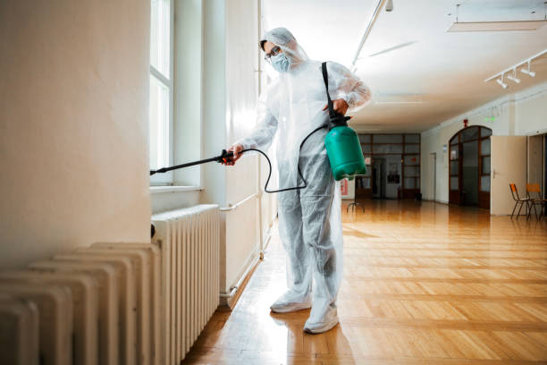 Best Wasp Removal Services  in Tyrone, OK