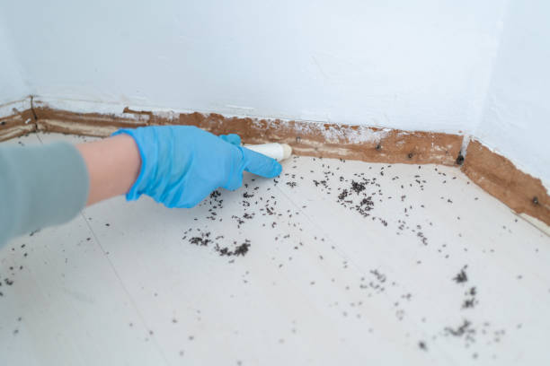 Best Cockroach Control Services  in Tyrone, OK