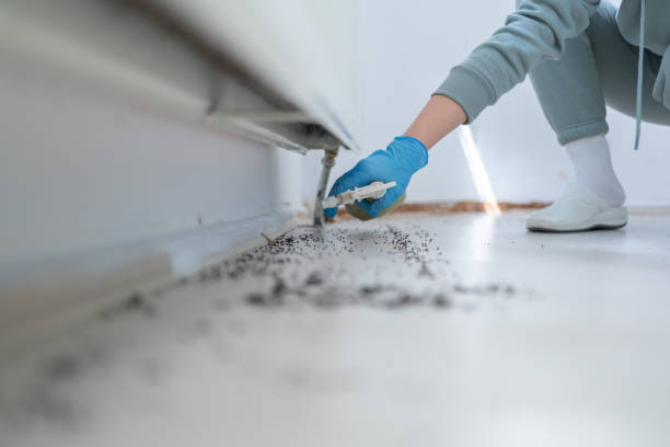 Best Bed Bug Extermination  in Tyrone, OK